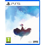 PS5 Gris